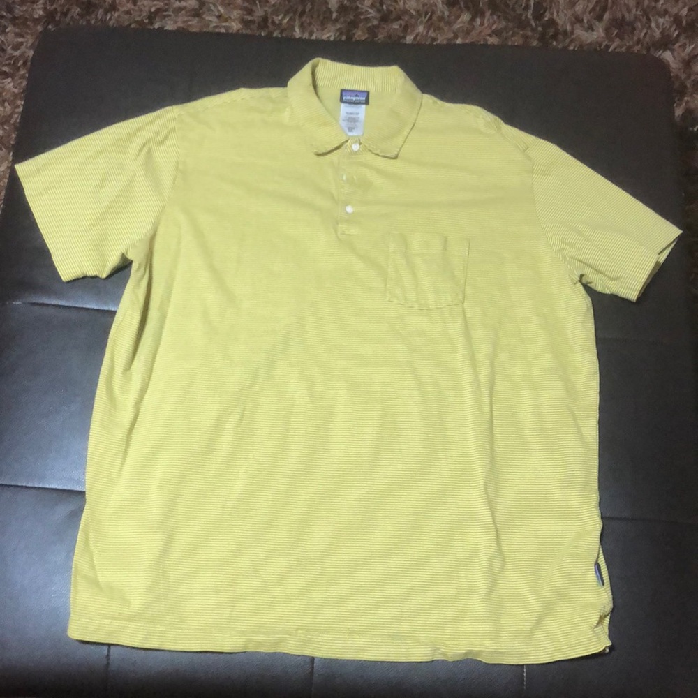 Patagonia stripe polo